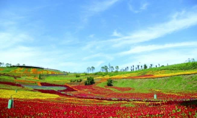 贵阳有几个旅游小镇？