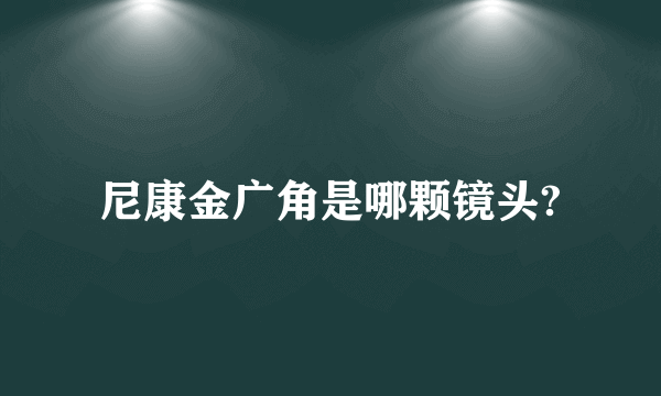 尼康金广角是哪颗镜头?