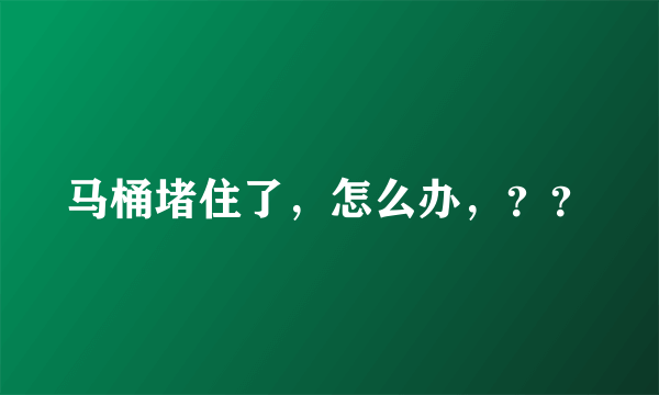 马桶堵住了，怎么办，？？