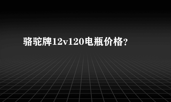 骆驼牌12v120电瓶价格？