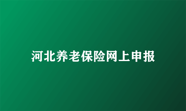 河北养老保险网上申报