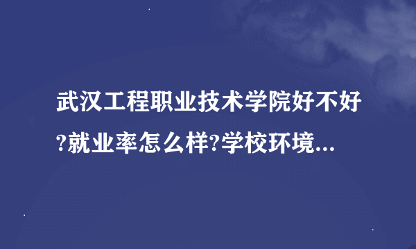 武汉工程职业技术学院好不好?就业率怎么样?学校环境好不好?