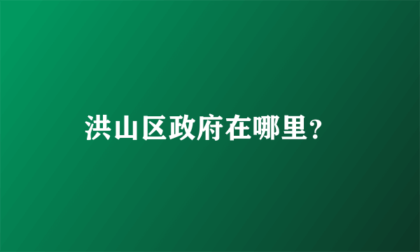 洪山区政府在哪里？