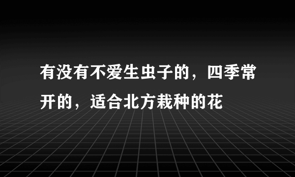 有没有不爱生虫子的，四季常开的，适合北方栽种的花