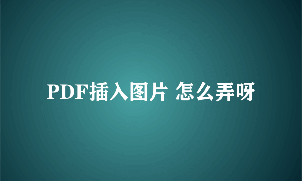 PDF插入图片 怎么弄呀