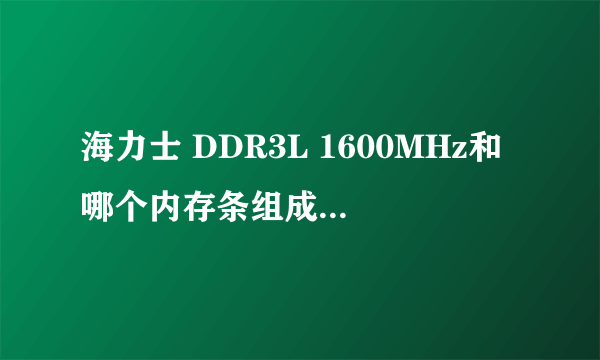 海力士 DDR3L 1600MHz和哪个内存条组成双通道好