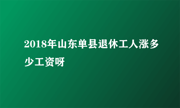 2018年山东单县退休工人涨多少工资呀