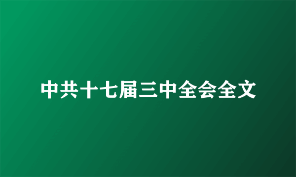 中共十七届三中全会全文