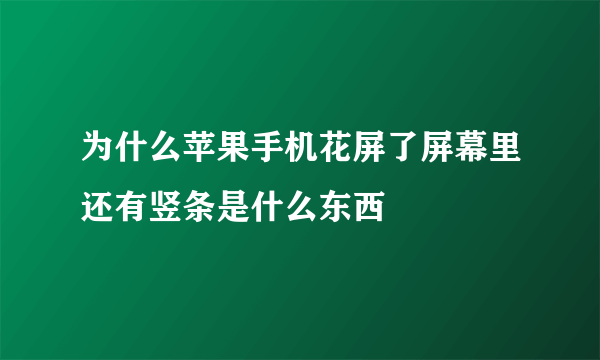 为什么苹果手机花屏了屏幕里还有竖条是什么东西