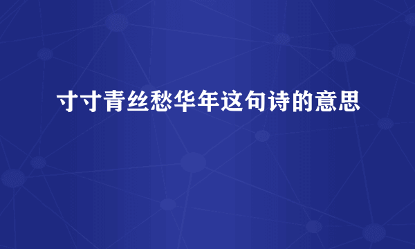 寸寸青丝愁华年这句诗的意思