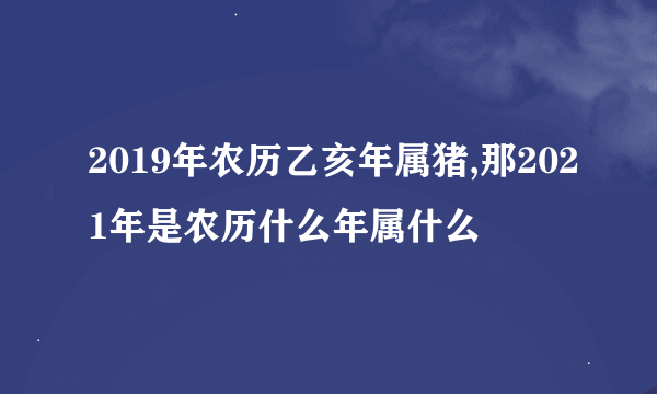 2019年农历乙亥年属猪,那2021年是农历什么年属什么