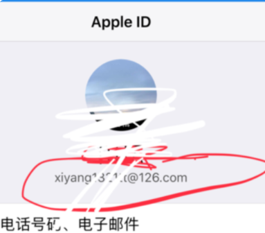 怎么查apple id账号