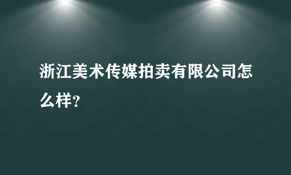 浙江美术传媒拍卖有限公司怎么样？