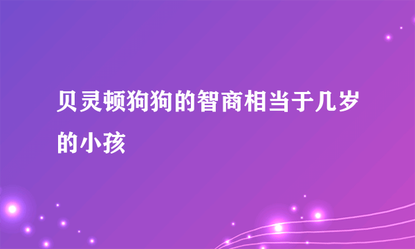 贝灵顿狗狗的智商相当于几岁的小孩