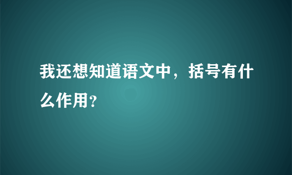 我还想知道语文中，括号有什么作用？