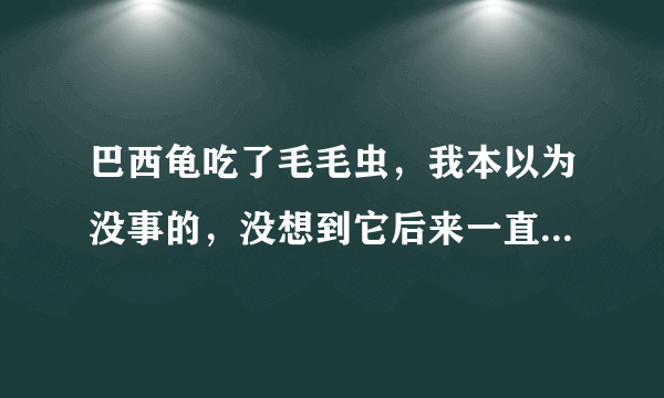 巴西龟吃了毛毛虫，我本以为没事的，没想到它后来一直张嘴，并且用手捂眼睛，很痛苦。怎么办