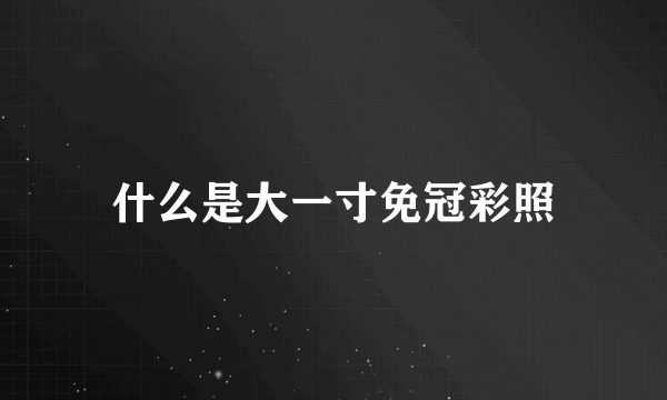 什么是大一寸免冠彩照