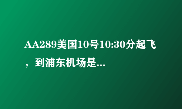 AA289美国10号10:30分起飞，到浦东机场是几点，几号航站楼。