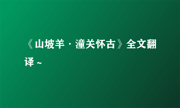 《山坡羊·潼关怀古》全文翻译～