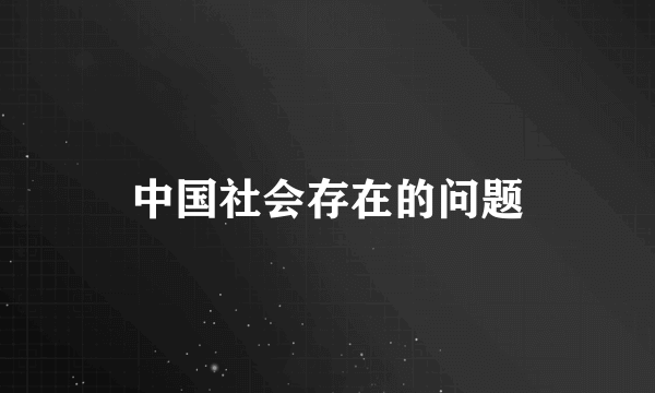 中国社会存在的问题