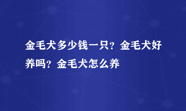 金毛犬多少钱一只？金毛犬好养吗？金毛犬怎么养