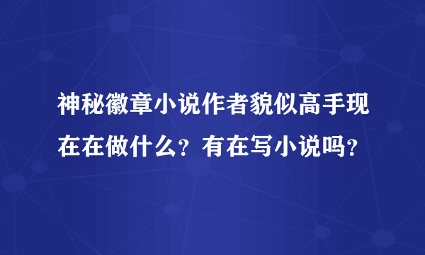 神秘徽章小说作者貌似高手现在在做什么？有在写小说吗？