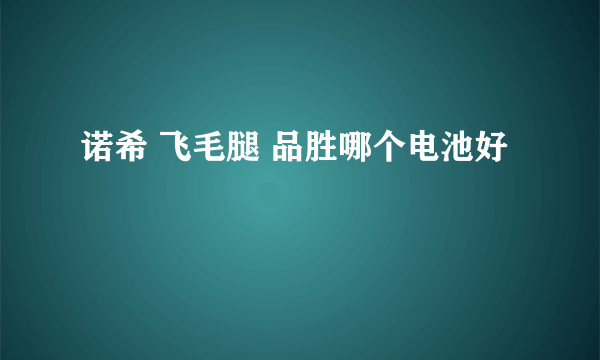 诺希 飞毛腿 品胜哪个电池好