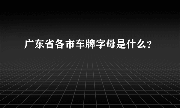 广东省各市车牌字母是什么？