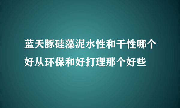 蓝天豚硅藻泥水性和干性哪个好从环保和好打理那个好些