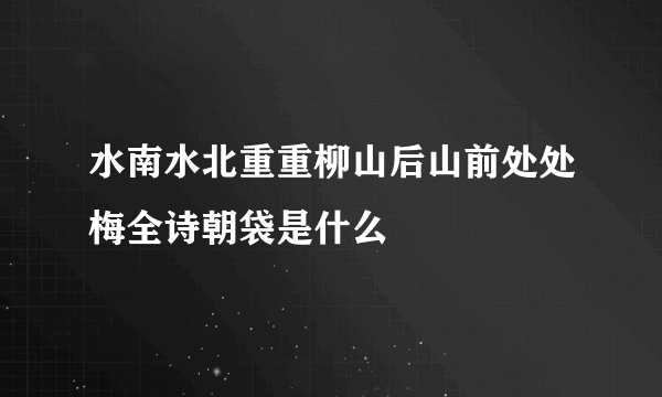 水南水北重重柳山后山前处处梅全诗朝袋是什么