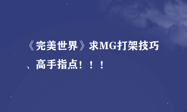 《完美世界》求MG打架技巧、高手指点！！！