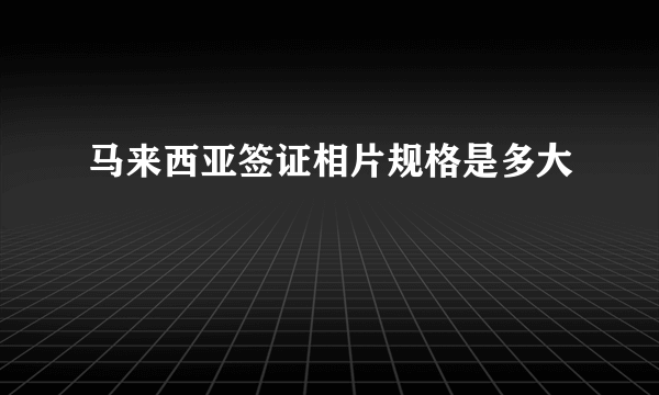 马来西亚签证相片规格是多大