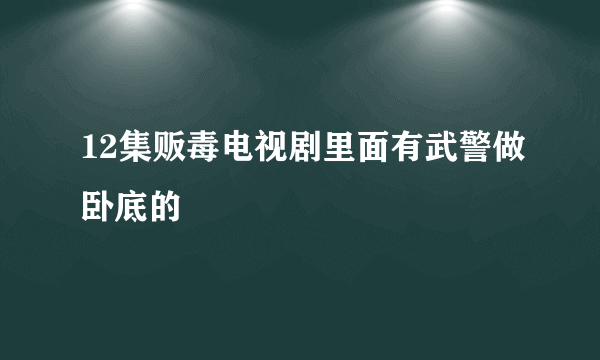 12集贩毒电视剧里面有武警做卧底的