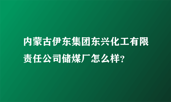 内蒙古伊东集团东兴化工有限责任公司储煤厂怎么样？