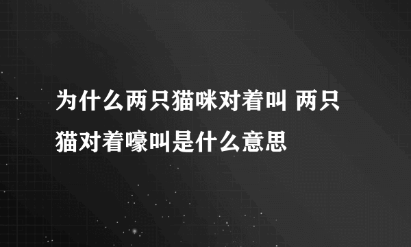 为什么两只猫咪对着叫 两只猫对着嚎叫是什么意思