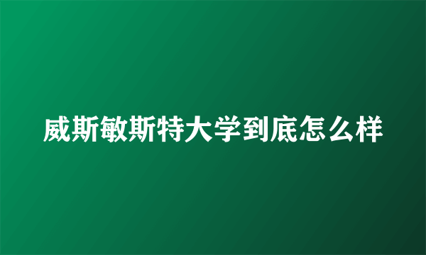 威斯敏斯特大学到底怎么样