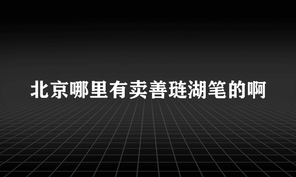 北京哪里有卖善琏湖笔的啊