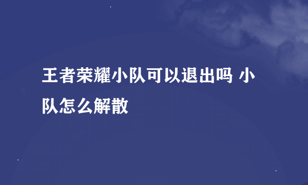 王者荣耀小队可以退出吗 小队怎么解散