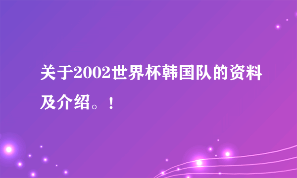 关于2002世界杯韩国队的资料及介绍。！