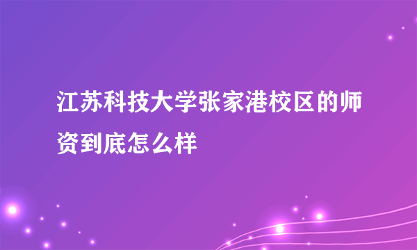 江苏科技大学张家港校区的师资到底怎么样