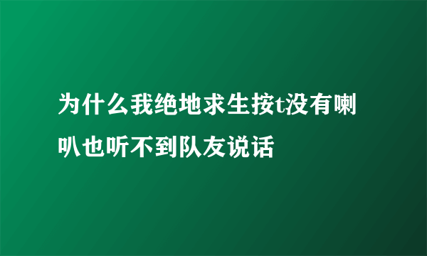 为什么我绝地求生按t没有喇叭也听不到队友说话