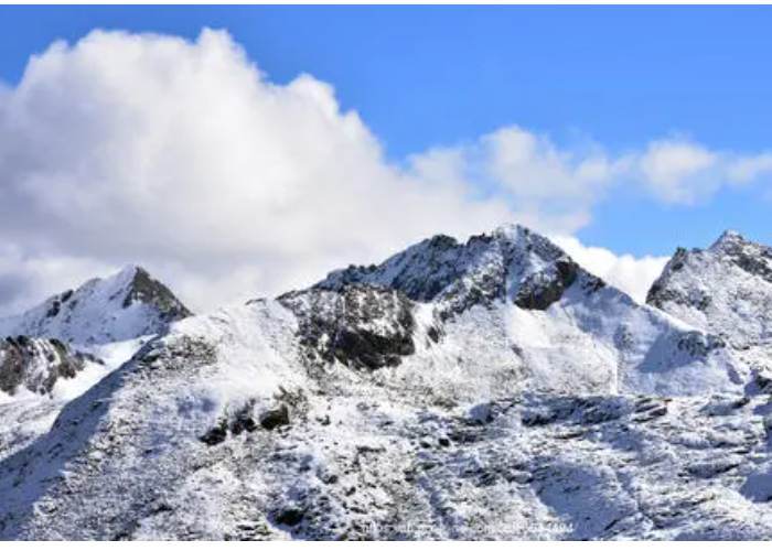 2026雪山之巅是什么梗