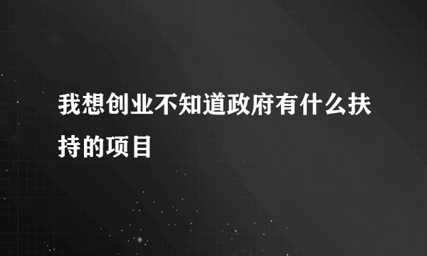 我想创业不知道政府有什么扶持的项目