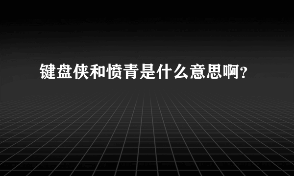 键盘侠和愤青是什么意思啊？