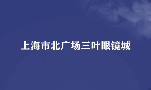 上海市北广场三叶眼镜城