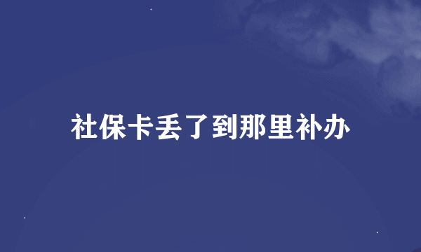 社保卡丢了到那里补办