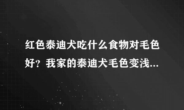 红色泰迪犬吃什么食物对毛色好？我家的泰迪犬毛色变浅。请专家们给详细说下谢谢！