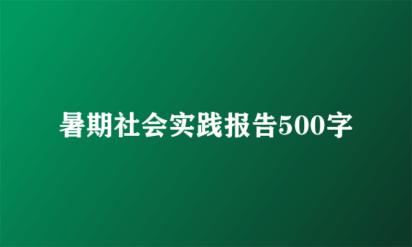 暑期社会实践报告500字