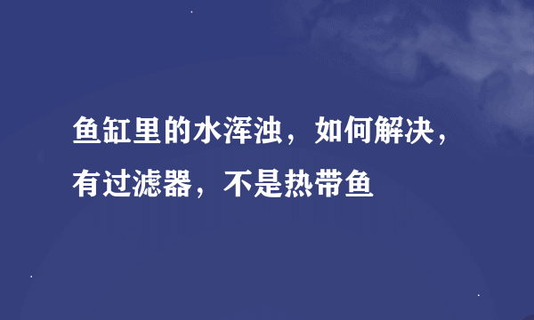 鱼缸里的水浑浊，如何解决，有过滤器，不是热带鱼