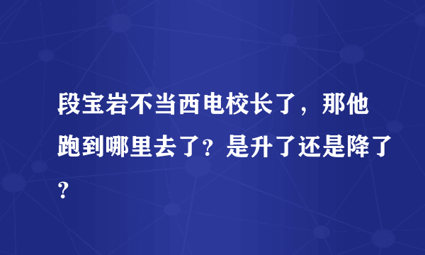 段宝岩不当西电校长了，那他跑到哪里去了？是升了还是降了？